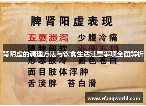 肾阴虚的调理方法与饮食生活注意事项全面解析