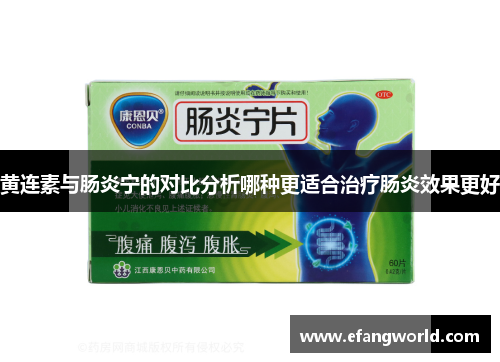黄连素与肠炎宁的对比分析哪种更适合治疗肠炎效果更好